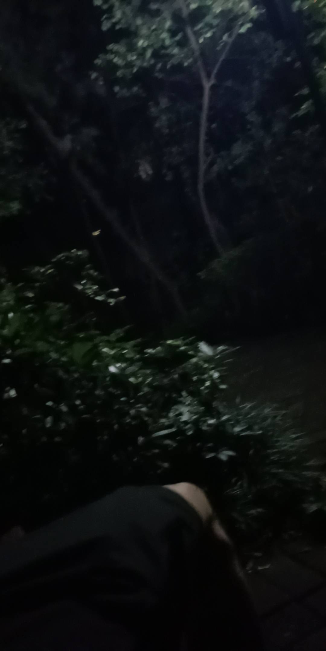 躺下了，老哥们 救我 


37 / 作者:爆炸老哥在线ki / 