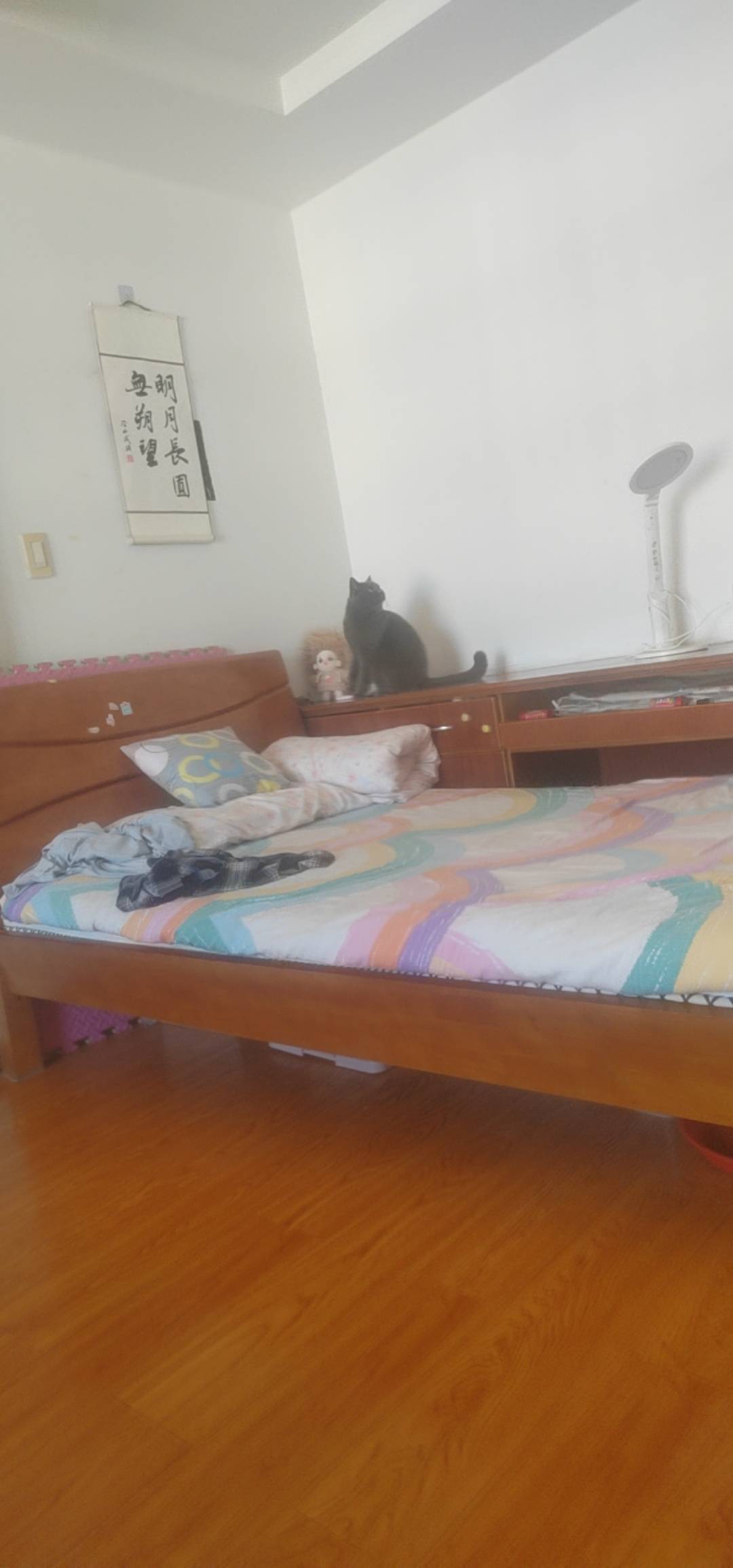 苏心生活抽了个这玩意   就想要个红包买美团     宠物零食有个屁用啊

60 / 作者:我爱小小孟 / 