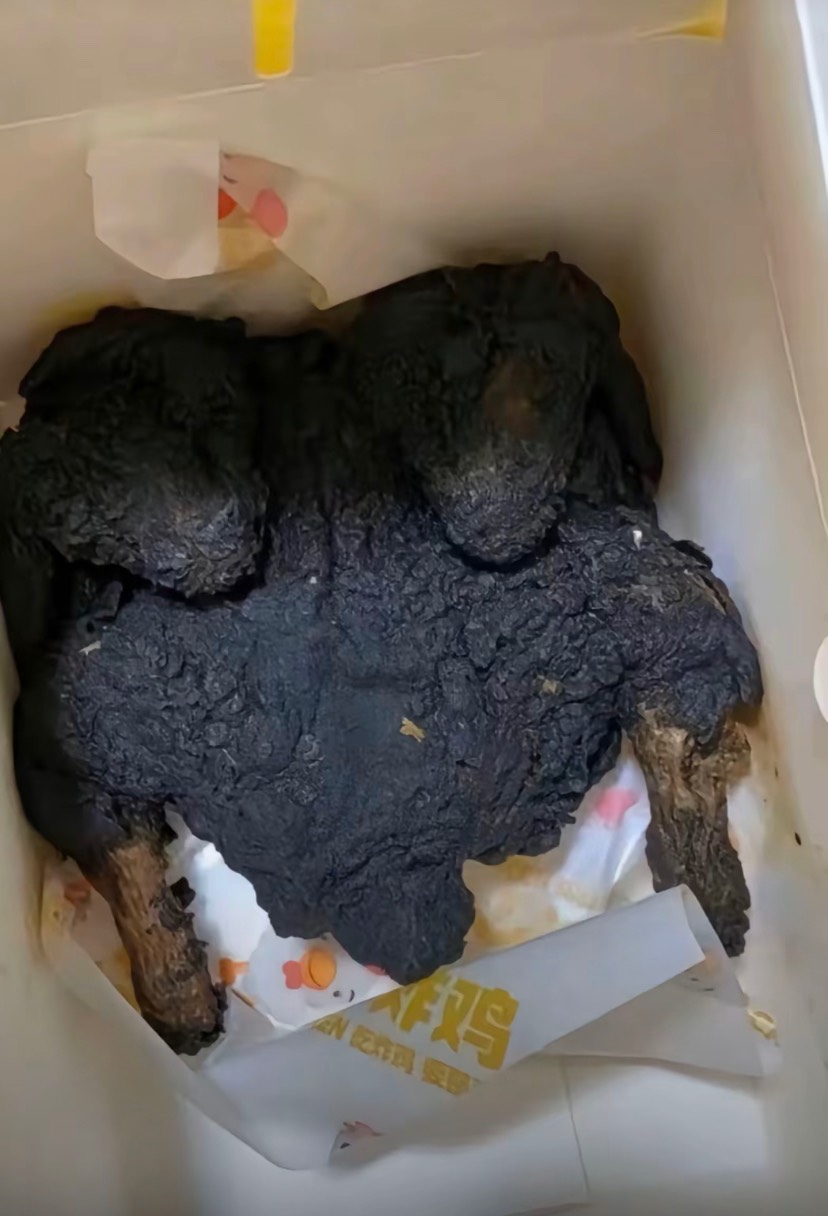 叫了只炸鸡，这能申请多少

21 / 作者:落叶随风i / 