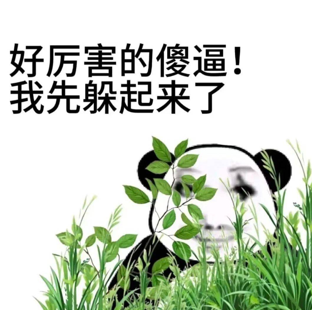 早起的鸟儿有虫吃

89 / 作者:梦回大唐做王爷 / 