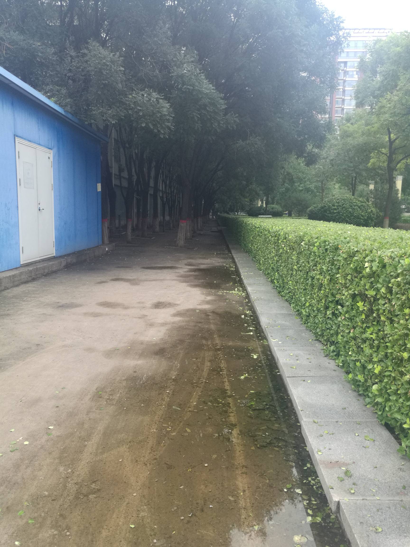 挂壁路边了，有没有好心老哥支援个猪脚饭，过阵子还

12 / 作者:努力优秀_ / 
