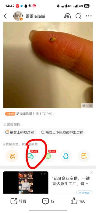 微博另外一个号没这个图标，是黑吗，活动页面能进去

81 / 作者:风月将晚 / 