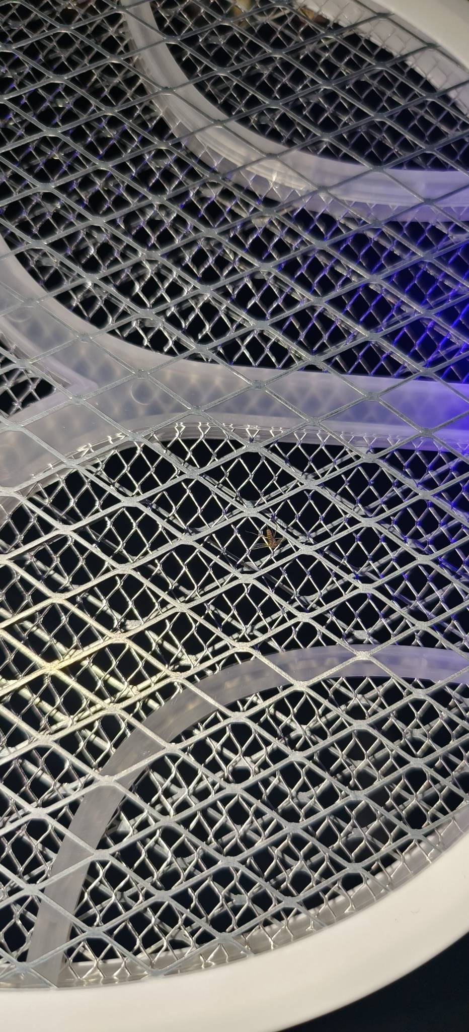 每天最舒心的事就是电死这些死蚊子

22 / 作者:jz64 / 