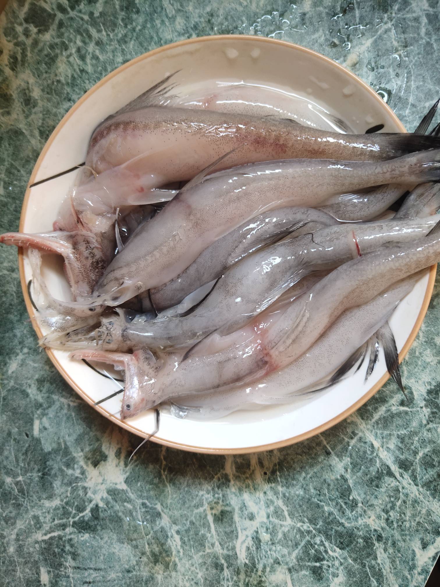 豆腐鱼准备好了，等下3分钟出锅

74 / 作者:一路向前8 / 