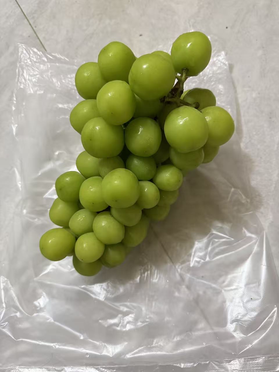 阳光青提真不值钱，这么大串四斤多才10块钱，以前还以为很贵呢，不舍的吃，怕吃不起

51 / 作者:条野太狼 / 
