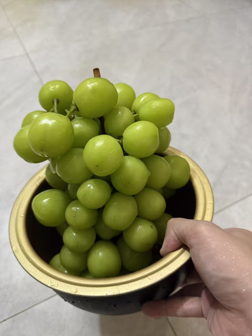 阳光青提真不值钱，这么大串四斤多才10块钱，以前还以为很贵呢，不舍的吃，怕吃不起

11 / 作者:条野太狼 / 