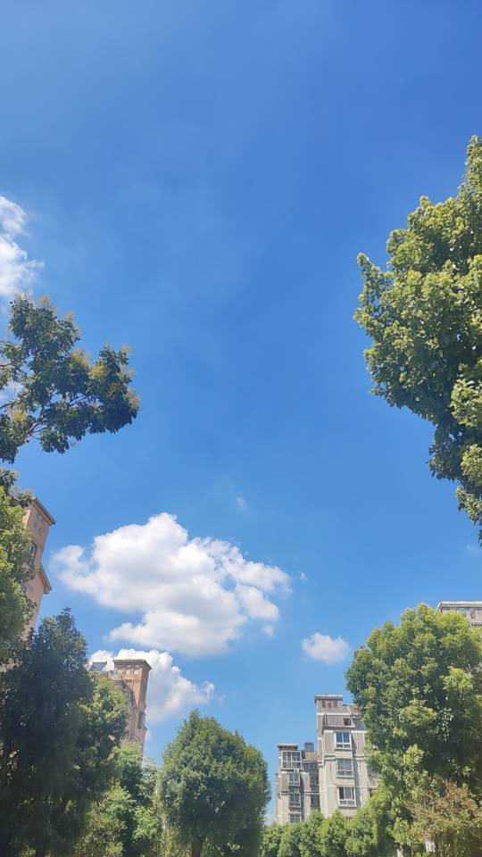 昆山的天真好看，就是太热了，出去买两包烟，裤衩子粘腚

87 / 作者:飞翔的小法 / 