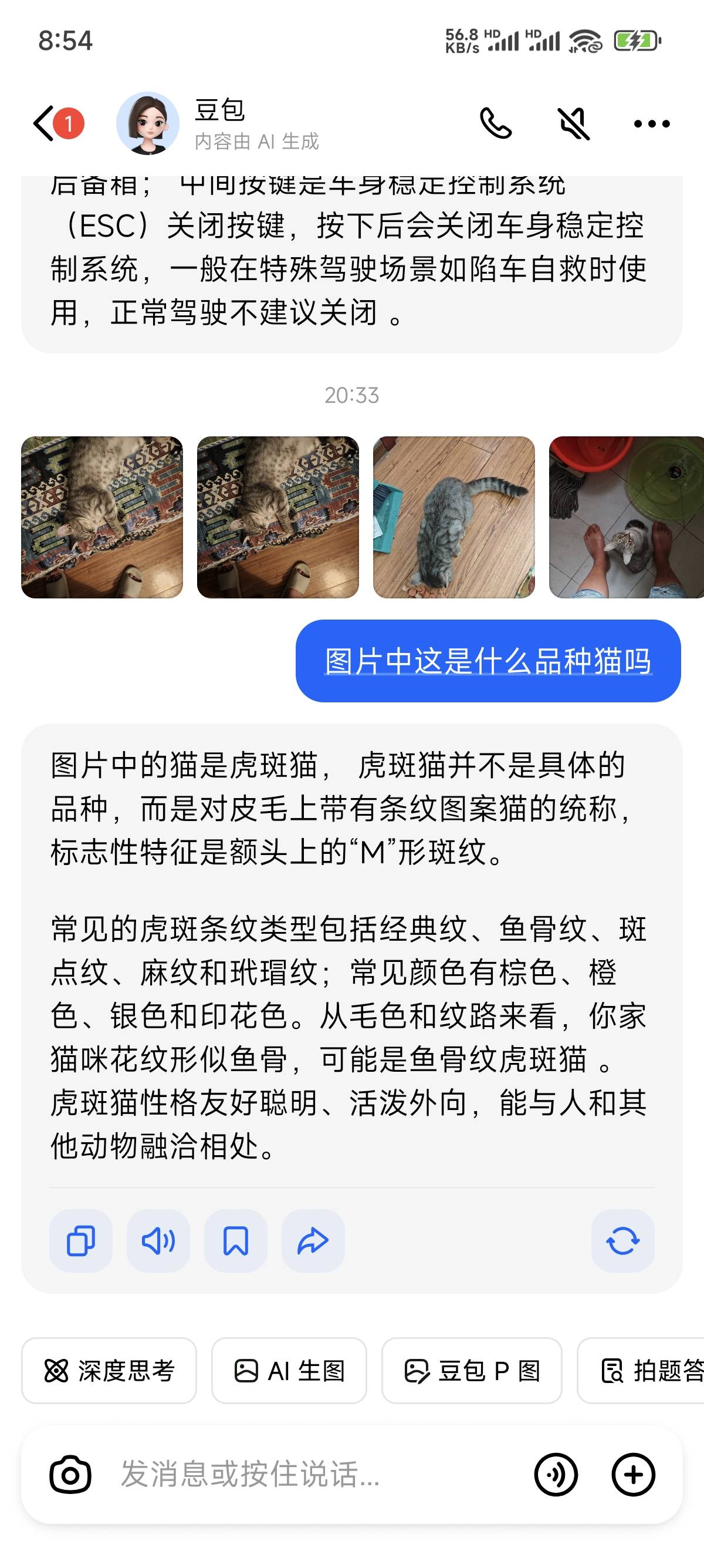 老哥们，有认识这是啥品种猫么，小区里捡的，太黏人了，好几天了也没人找，肯定不是野77 / 作者:嘉禾不会玩 / 