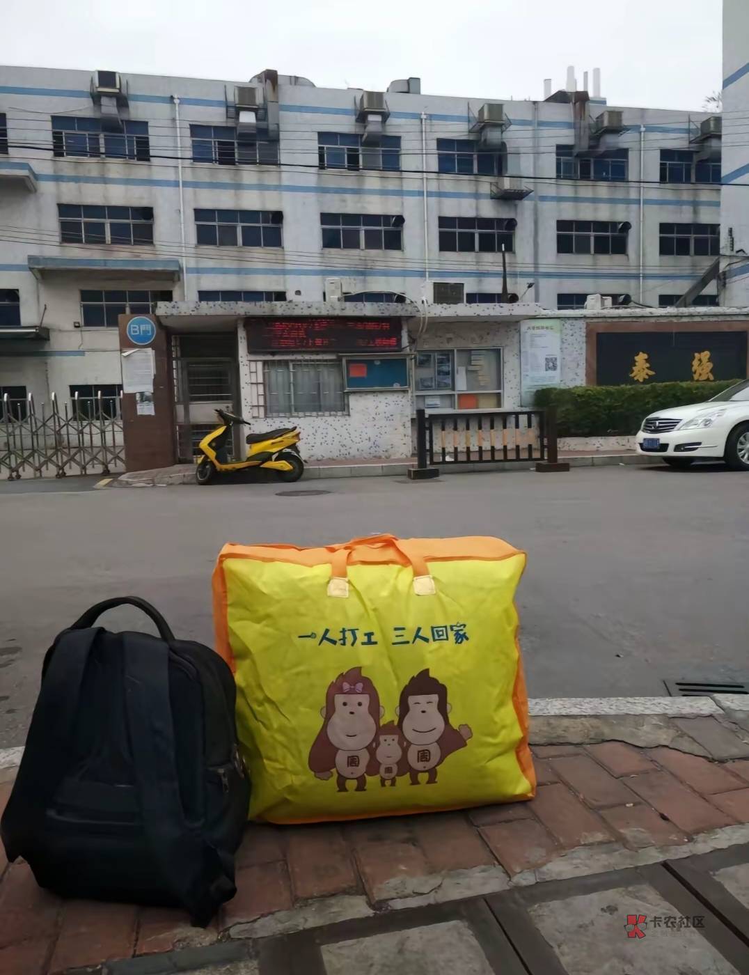曾经我是如此相信，现在还是如此！

85 / 作者:朱铁胆 / 