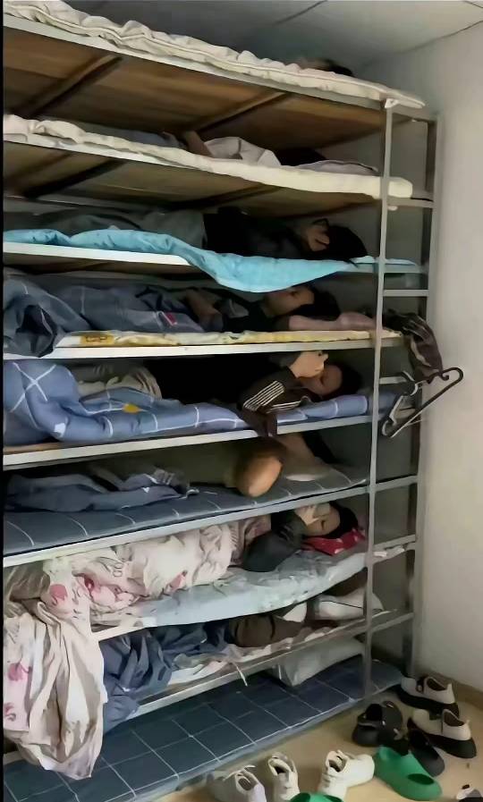 在北方的老哥，趁现在不冷不热，赚钱吧，躺了快十年，现在出去散步都觉得累，更别提去26 / 作者:此非为偏安一隅 / 