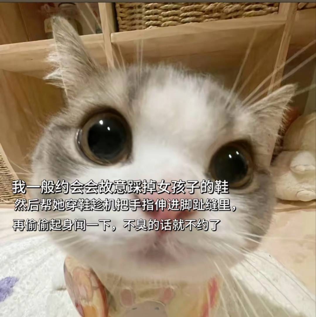 打了5个号 美滋滋 兄弟们

90 / 作者:上岸好吗小王 / 