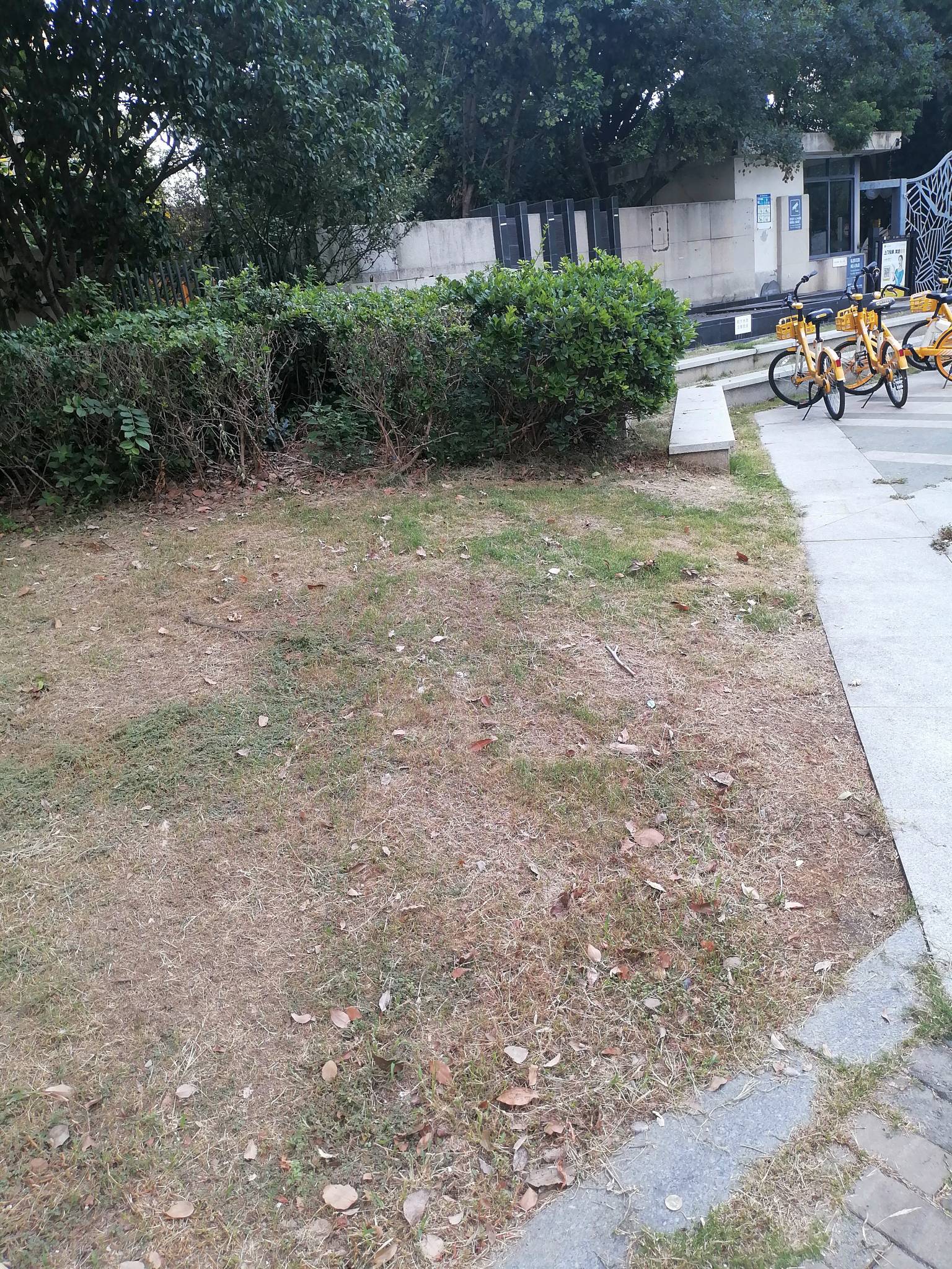 宝子们，今年第一次打车。不知道打到什么车啊，司机让我把订单结了在下车。

45 / 作者:少年与龙 / 