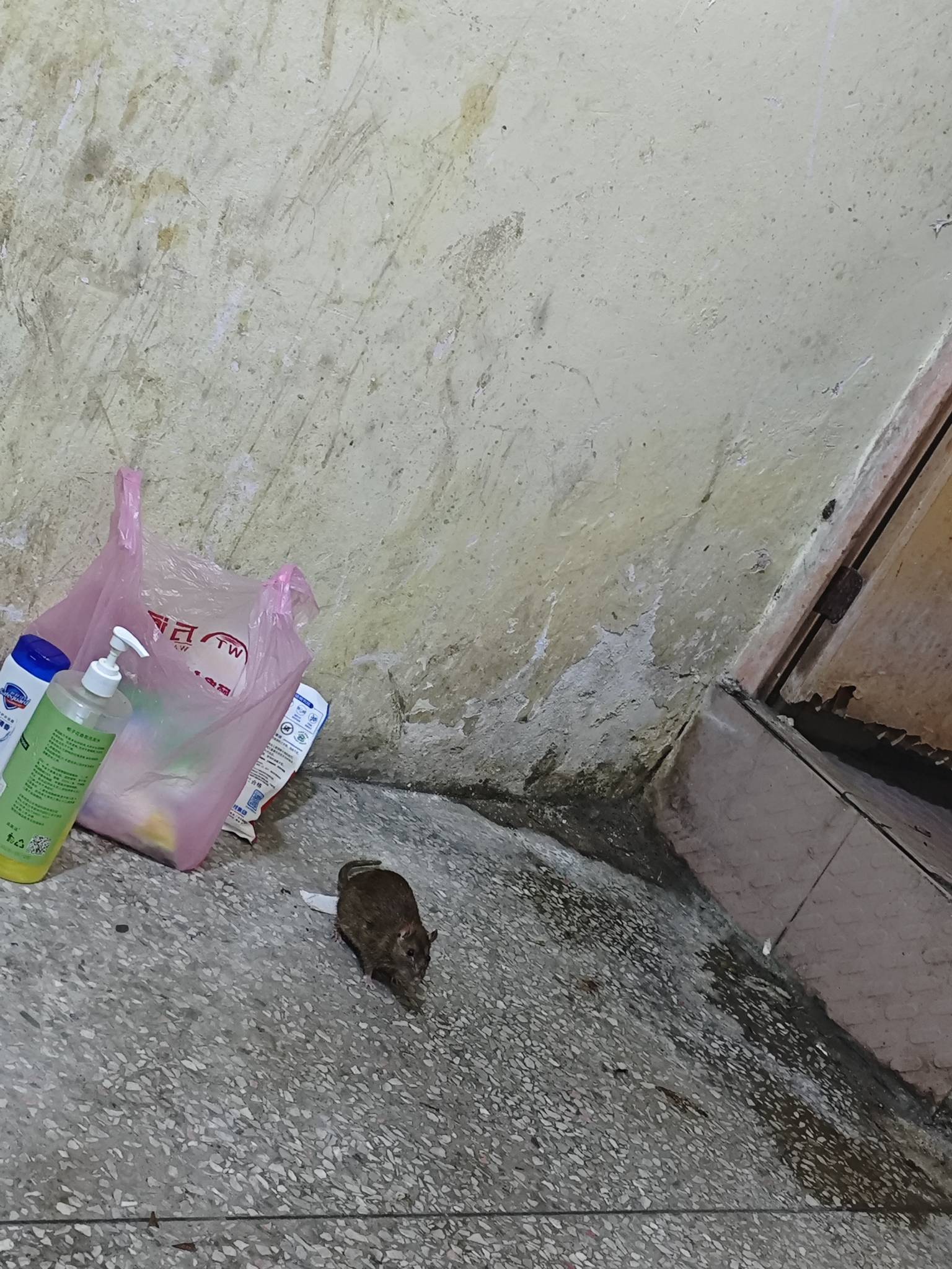 在王者上认识了一个女网友，我们聊天一起打游戏了六个月，感觉挺好的，她约了我面基，85 / 作者:秋隔一日 / 