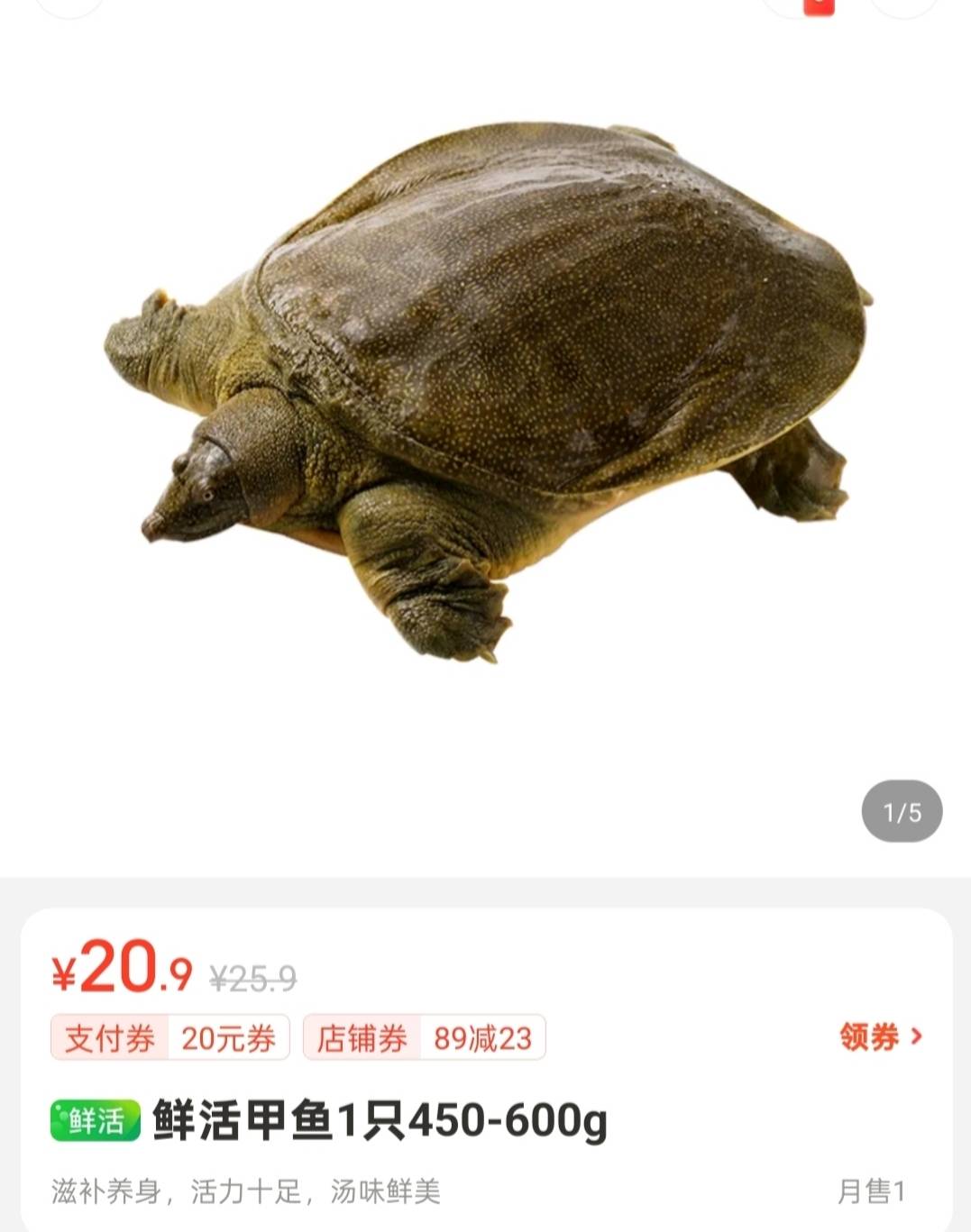 这玩意我记得挺贵的啊，这价格认真的吗？不会是鱼苗吧

88 / 作者:雨萧客 / 