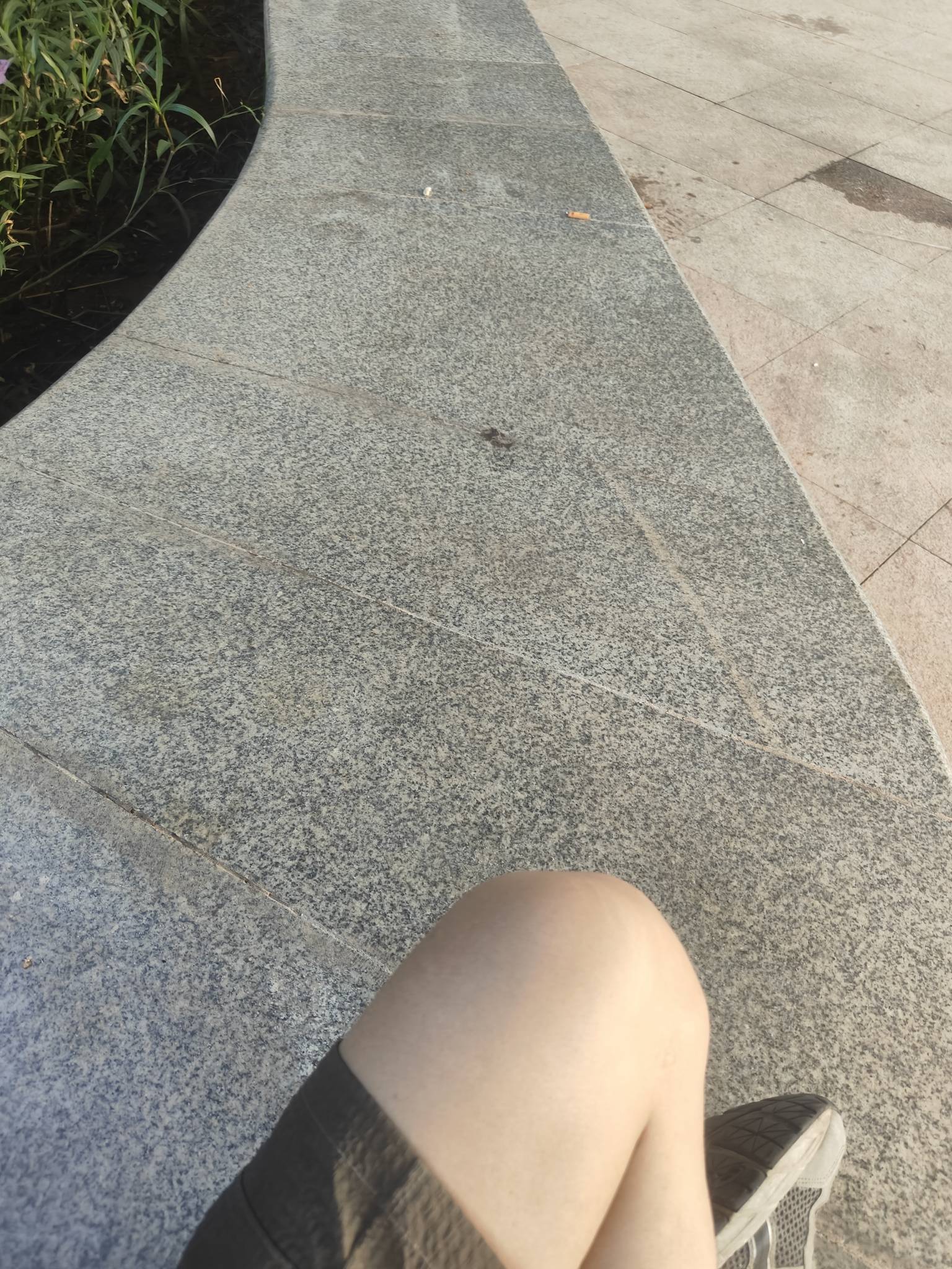 找了个地方坐着，能遮雨后面有公厕，打算在这里待到网上十二点。全力薅毛，十一点前搞28 / 作者:林伯不卖菠萝鱼 / 