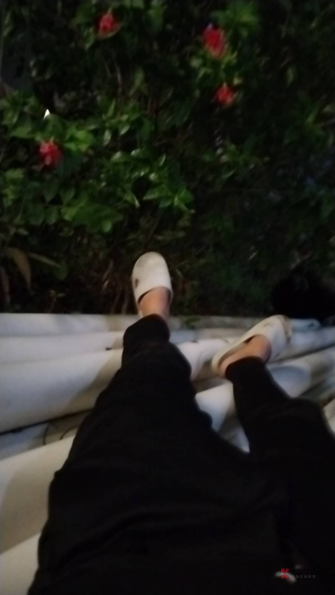 老哥们饿死了

13 / 作者:沉底的烂人 / 