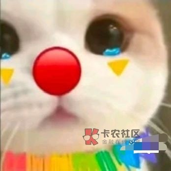幻影里添加京东和民生的分身，民生定位了，拉起外面的云闪付一直弹风险，咋办老哥们

51 / 作者:不予x / 