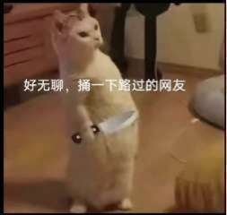 快一年半没搞羊毛了  今天勉强破百吧

98 / 作者:上岸者123 / 