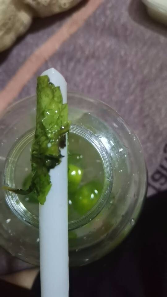 京东真的不行，连喝的都拿烂叶子敷衍你。


81 / 作者:xzl早日上岸 / 