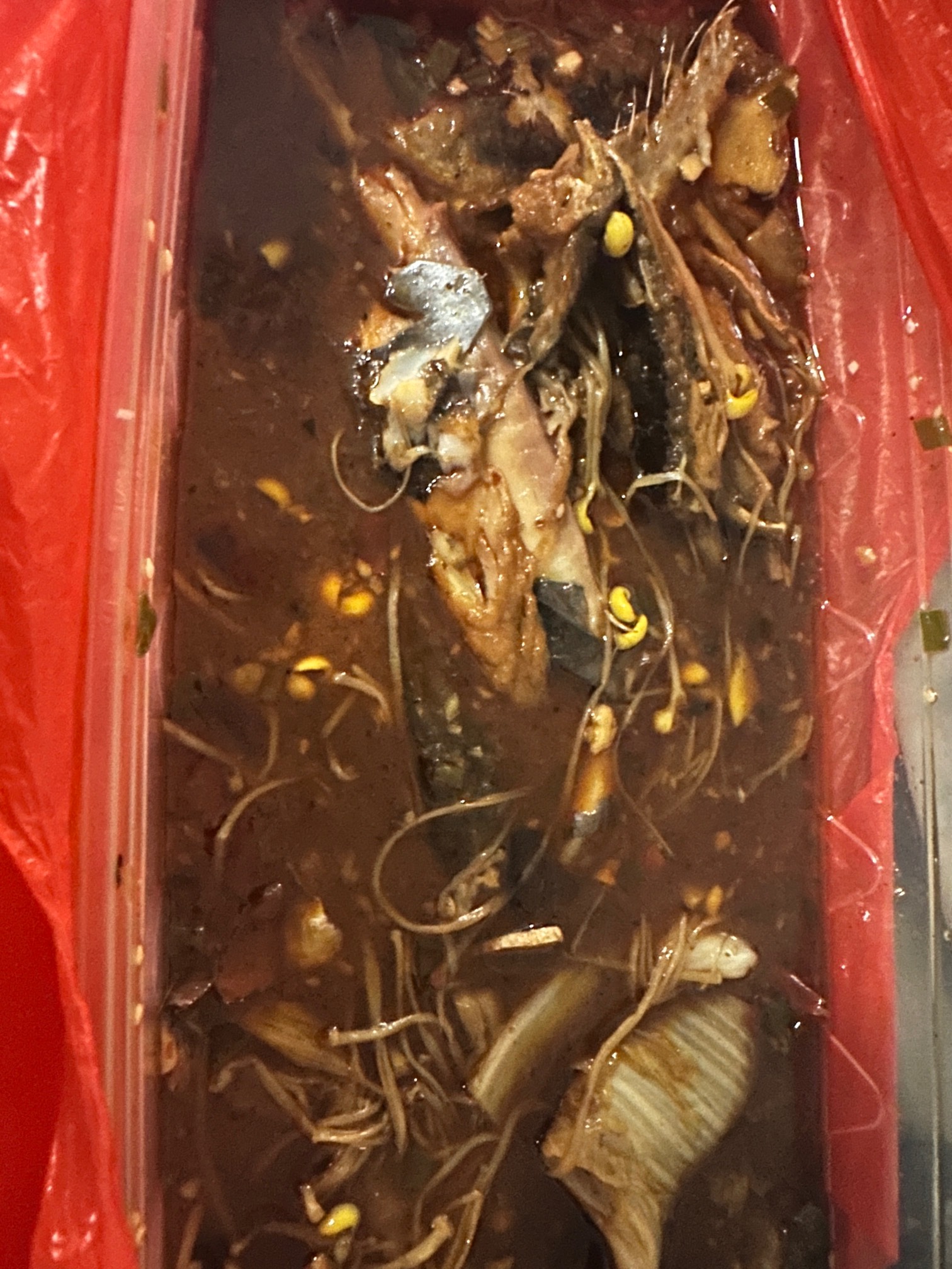 50打包的烤鱼，吃一半留一半明天吃再也不想挂壁了

14 / 作者:太难了～— / 