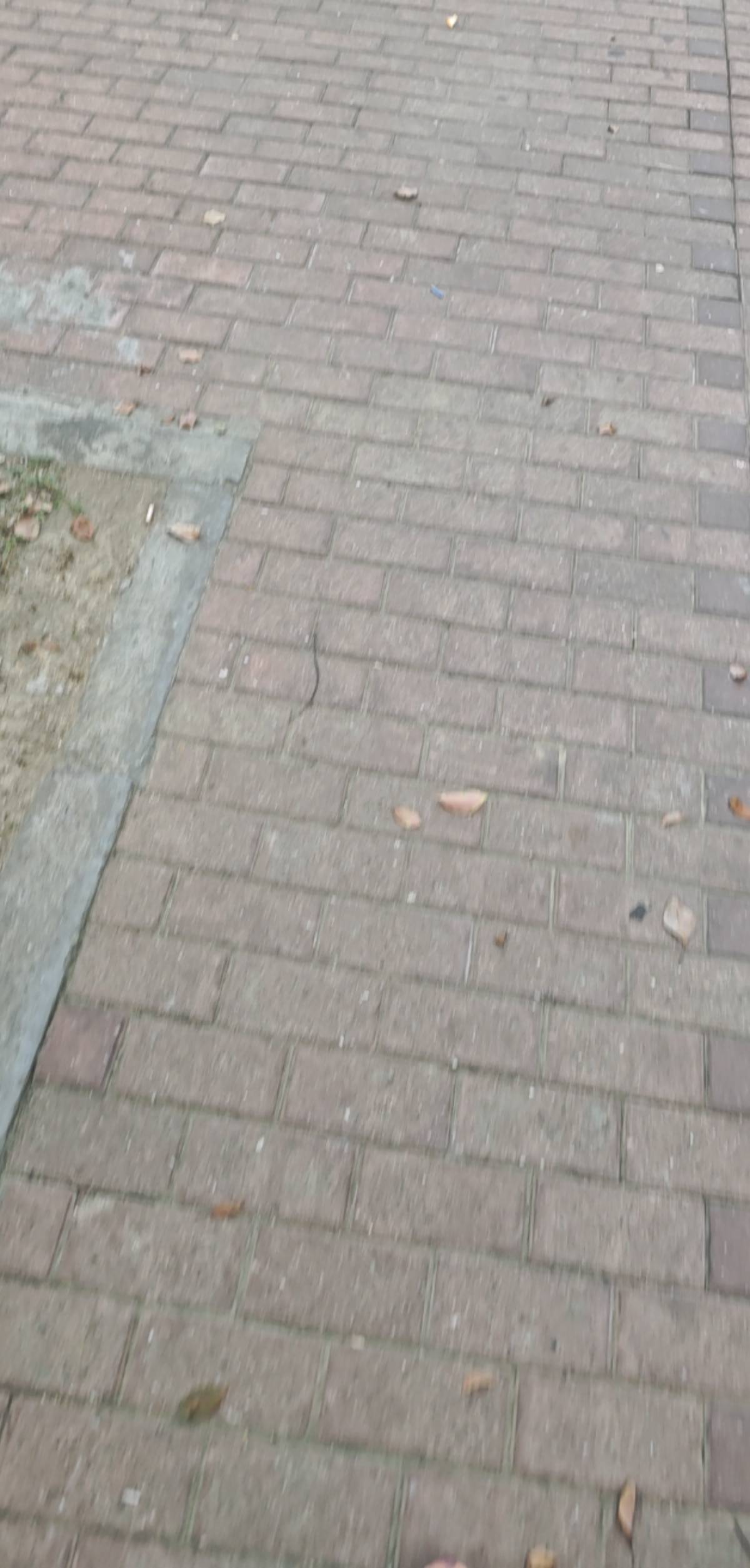 今天收入，26＋26，出发网吧

72 / 作者:北进 / 