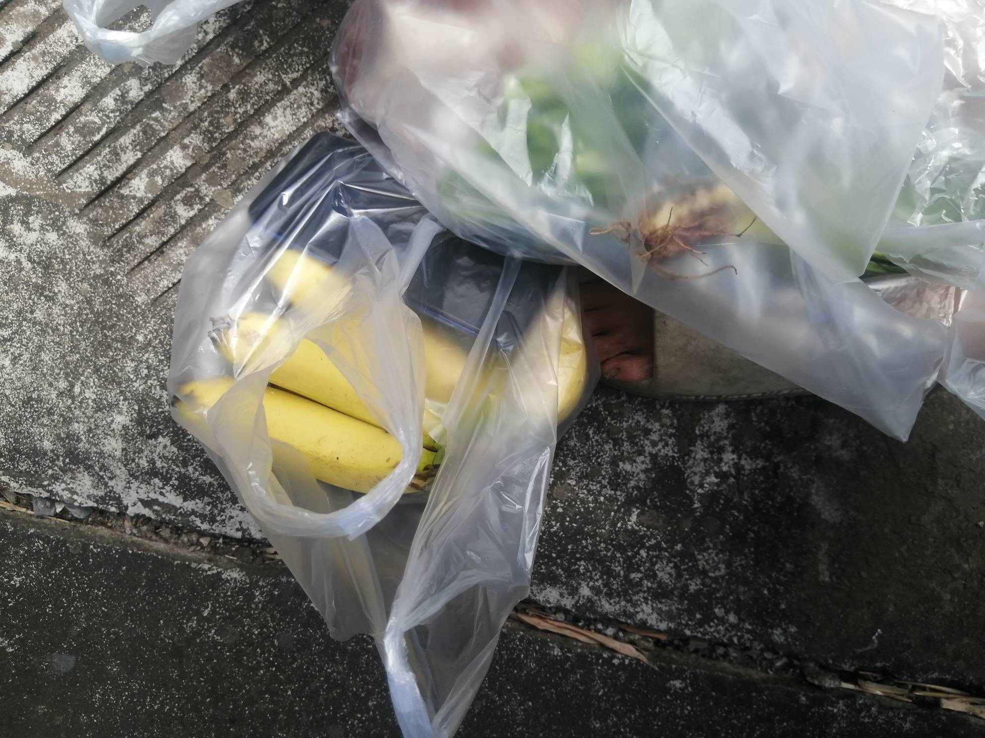 本来心里想，比你们优秀




99 / 作者:卡农新来的 / 