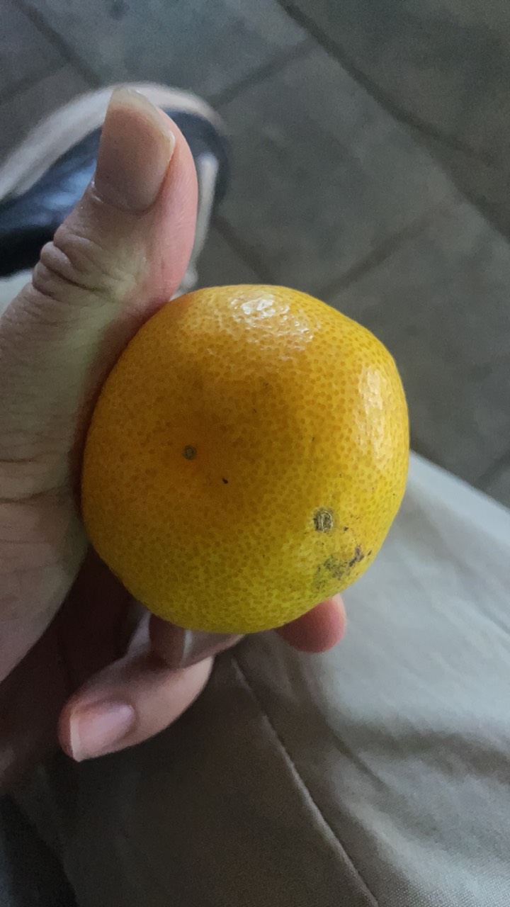抽烟得小可爱，呛死了！他喵的 

30 / 作者:寻梦青年2 / 