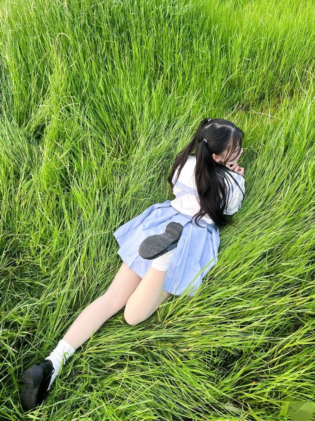 池塘边的榕树上，知了在叫着夏天



12 / 作者:世界本没有公平 / 