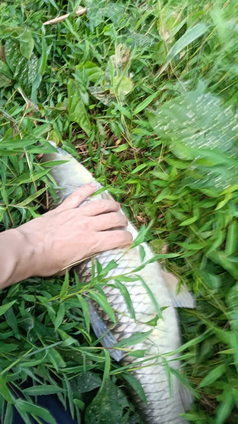 爆了

72 / 作者:福建牛德华 / 