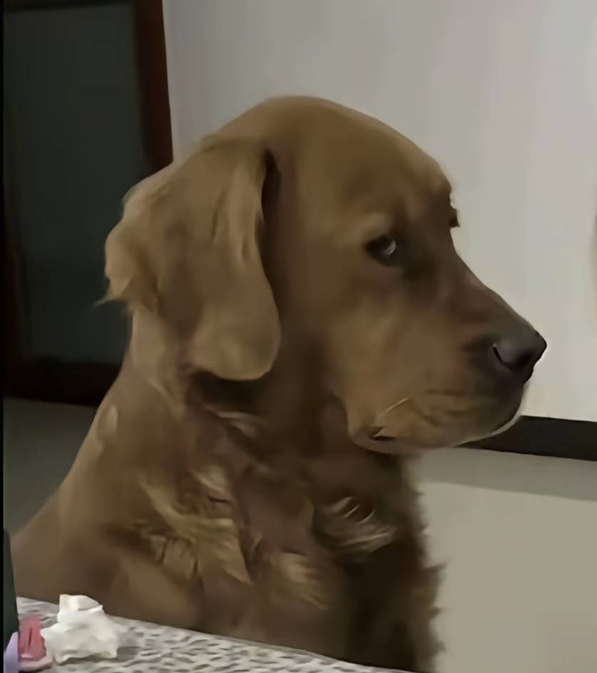 老哥们请教请教，现在的社保卡是工商的，玛德前段时间给我非柜了，我想去把社保转到交4 / 作者:蛋黄酱 / 