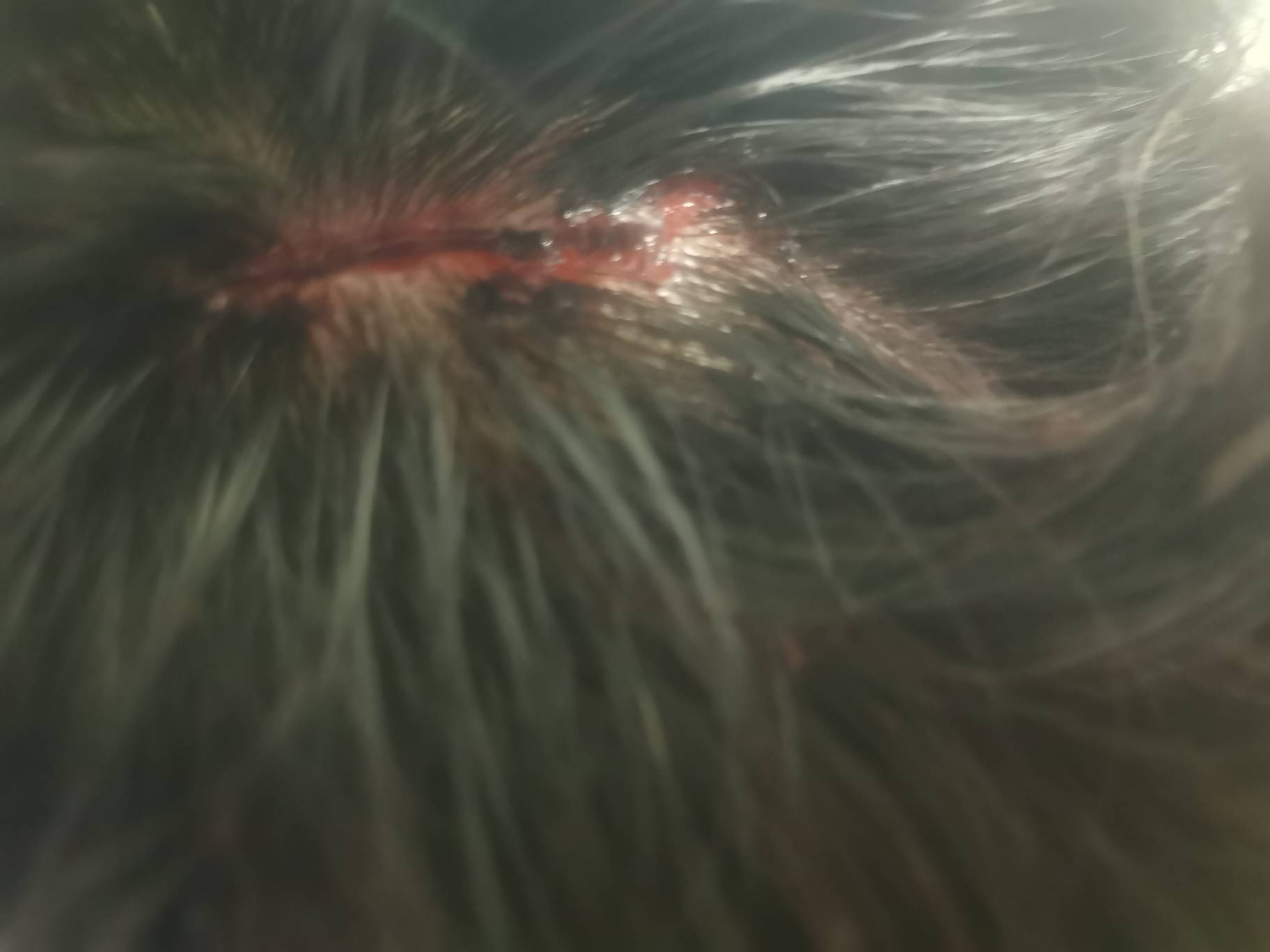 老哥们尽情的笑话我吧，就在楼下附近的诊所处理了一下一起居然要690块，那医生还想叫42 / 作者:我是一只卡奴v / 