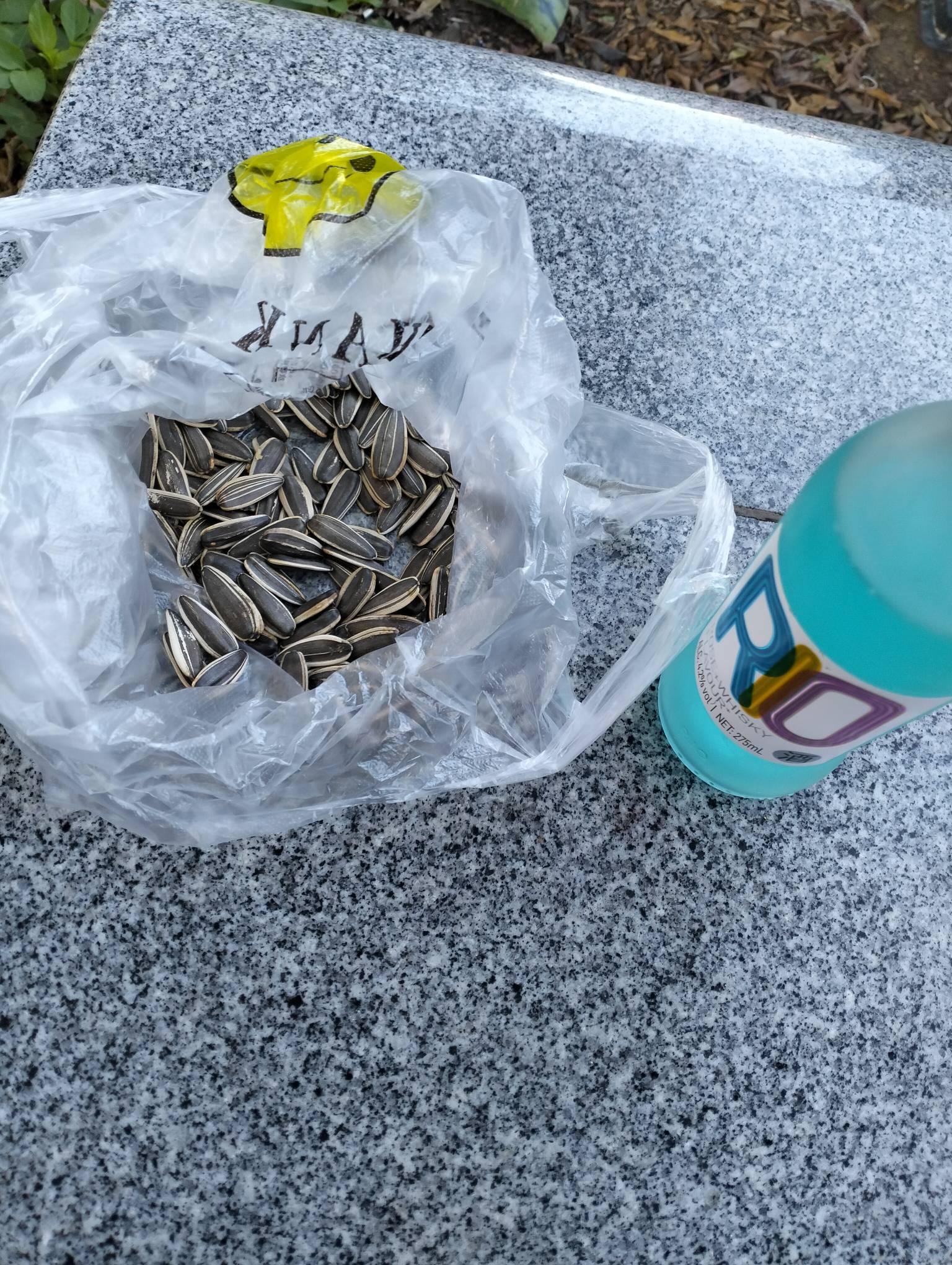 好饿啊，躺平在公园没钱吃早餐，买两毛瓜子磕磕就不能饿了

55 / 作者:尛•牛•氓 / 