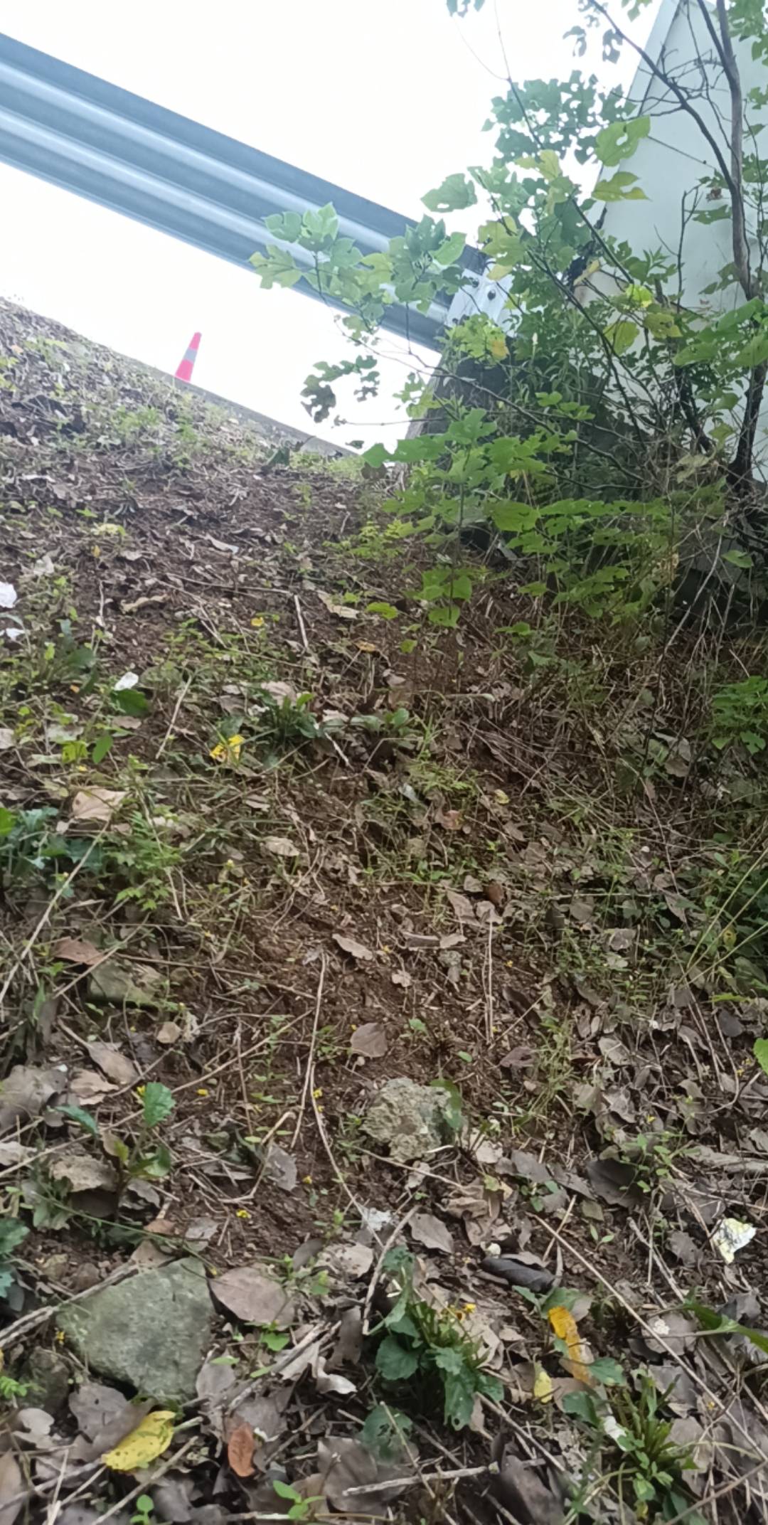 就喜欢厕所自由的厂，一个上午去两三次，下午也是，巅峰期一个小时去一次厕所 抽根烟71 / 作者:木西、 / 