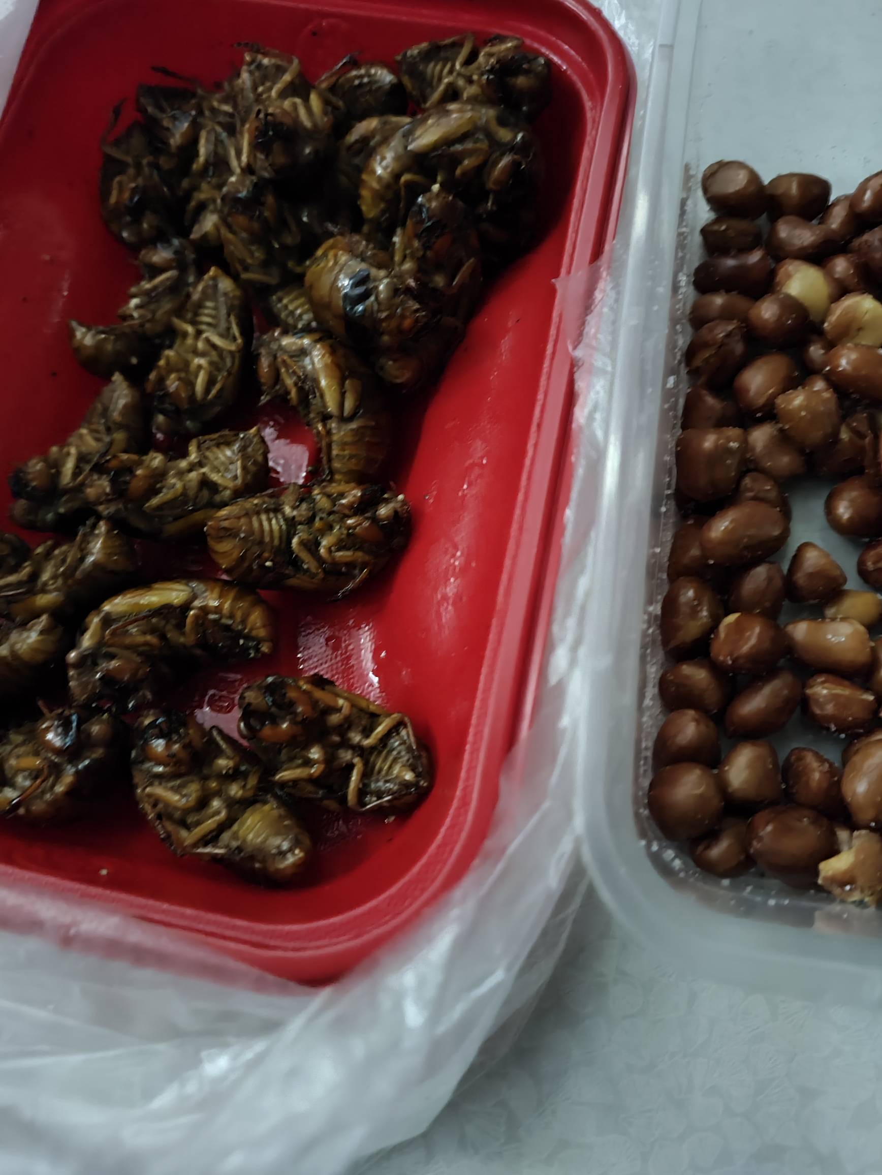 上次做火车还是08年，上次出省还是学前儿童。下午4点50从青岛发车，目前到江苏地界了97 / 作者:会飞的大鲨鱼 / 