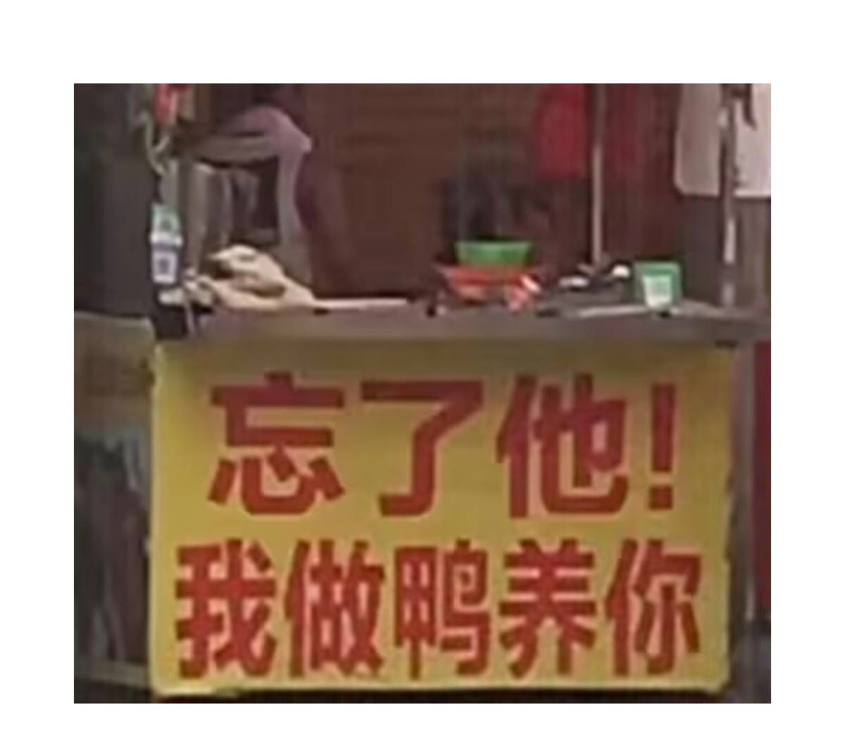 老哥们。冲啊！

8 / 作者:连阿姐都赞好 / 