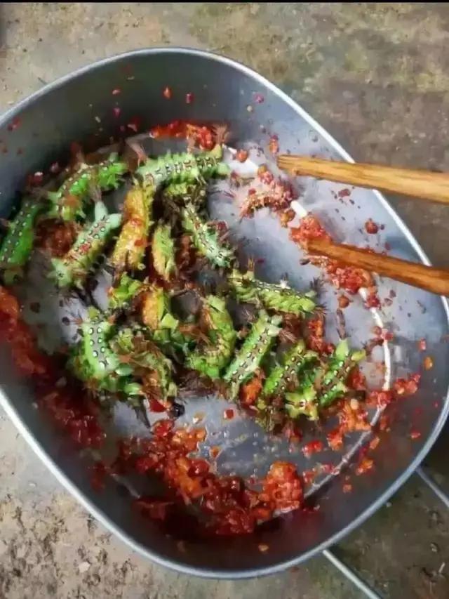 饿晕了刚睡醒，弄点蛋白质补充一下，老哥们先吃

37 / 作者:高渐离kk / 