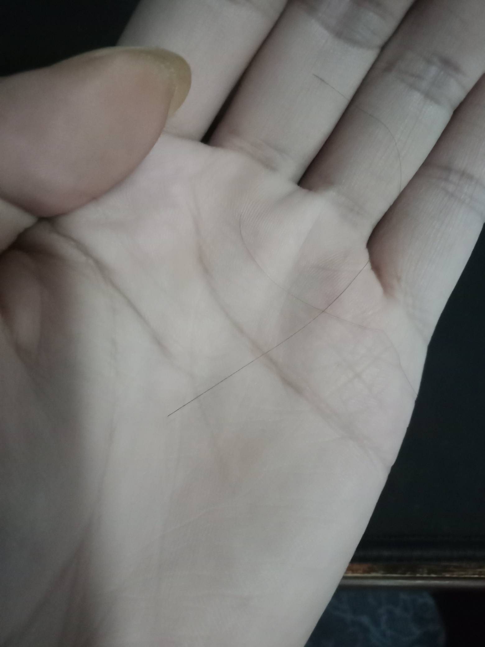 老哥们说一句 王子请发毛， 我马上发新毛！首发！
73 / 作者:嘎嘎的拳头 / 
