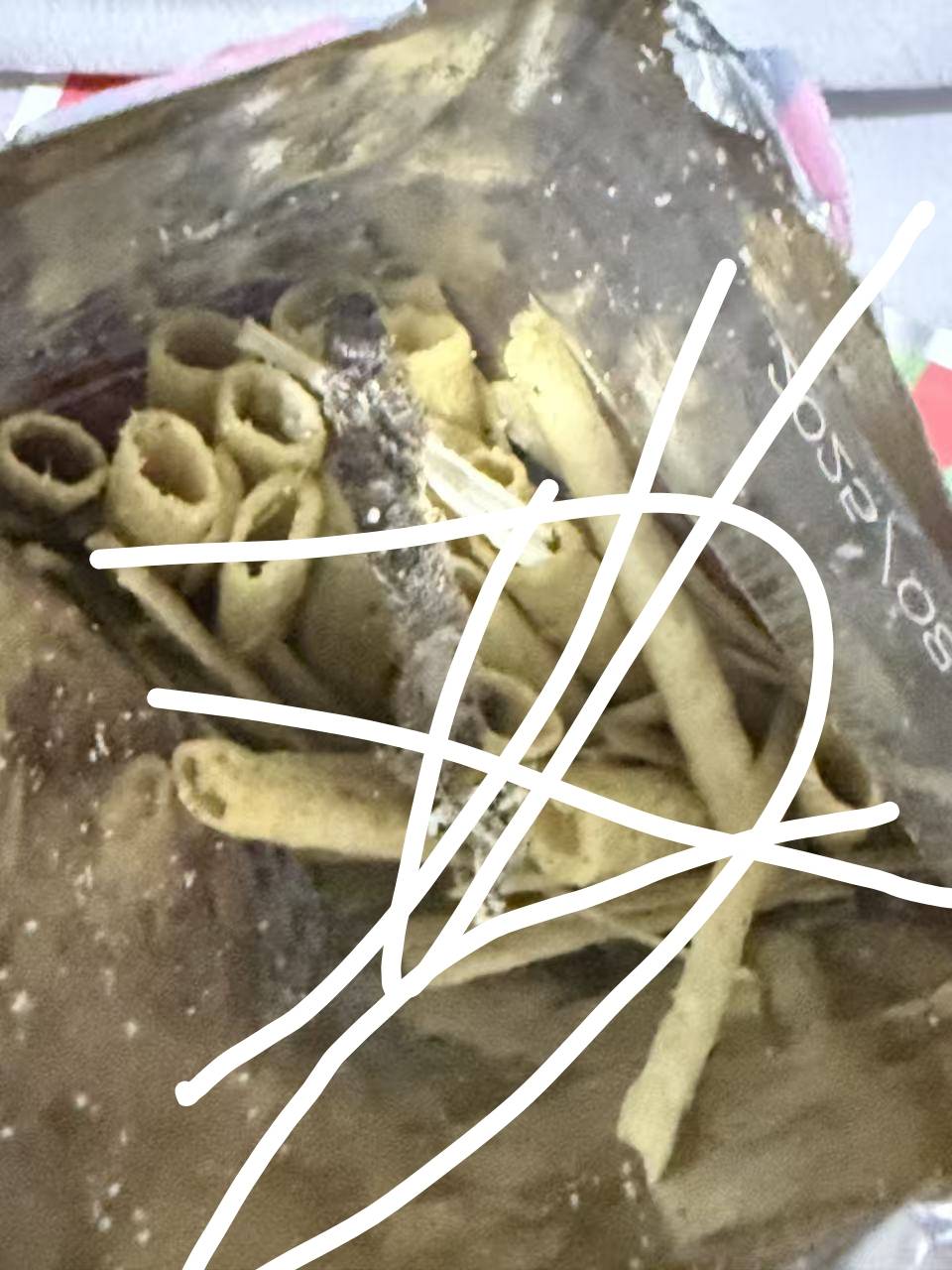 老哥们，吃零食发现里面有一条虫，这要怎么搞


90 / 作者:怡怡. / 