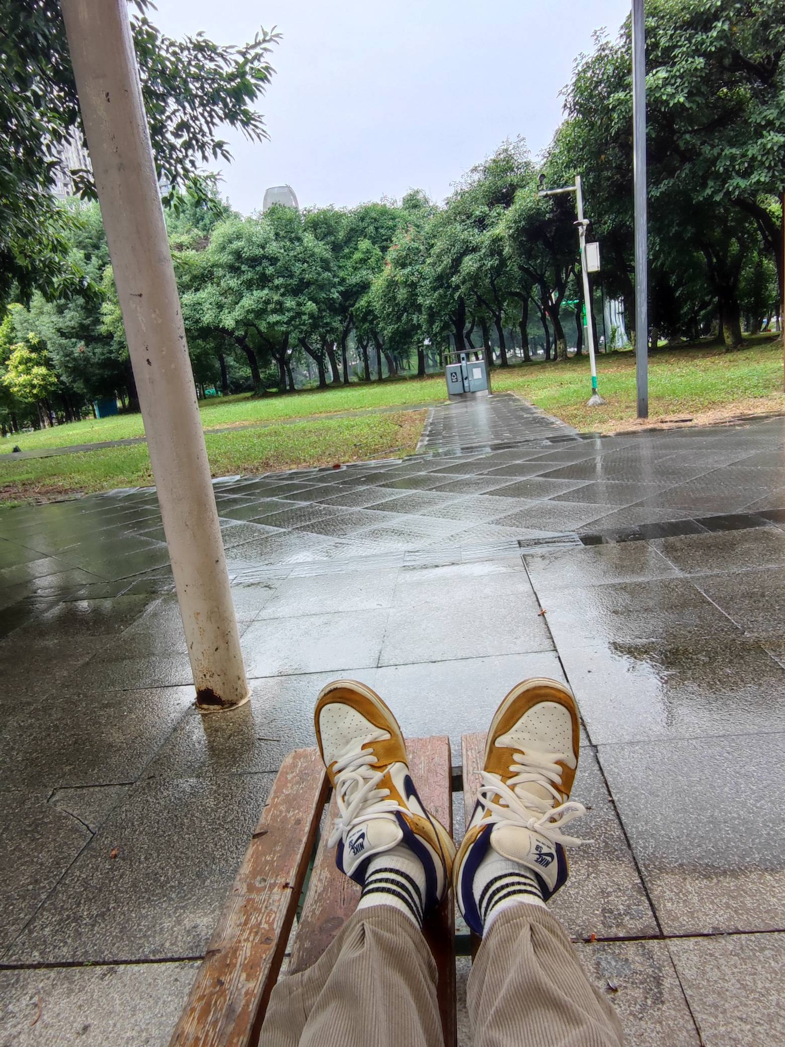 睡醒了老哥们，外面在下雨冷死我了。喉咙痒，肯定是感冒了

64 / 作者:你们的谢老板 / 