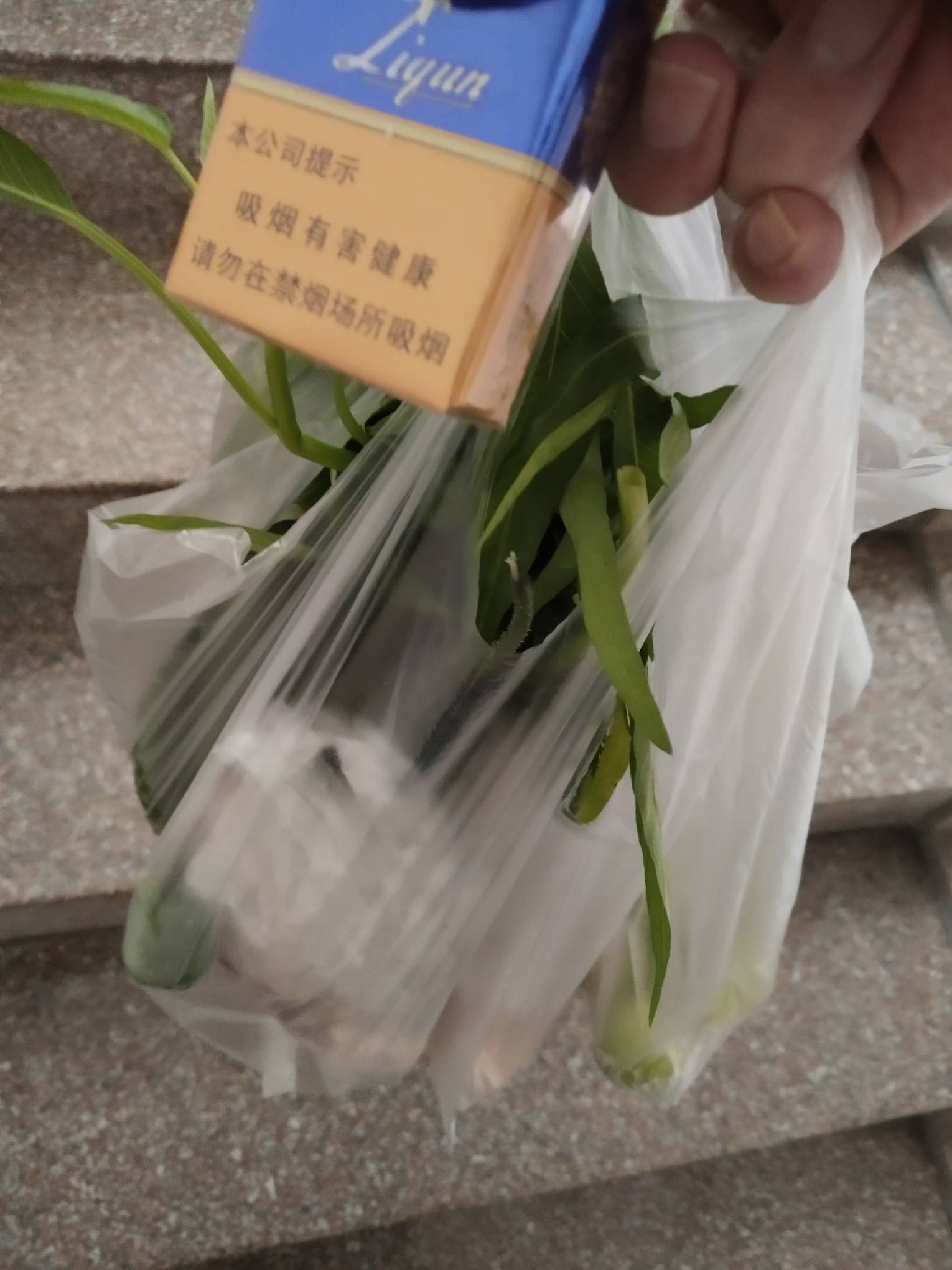 下面超市卖菜涨价涨疯了

19 / 作者:专业挂逼老哥 / 