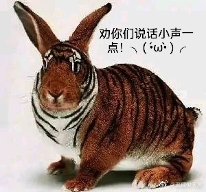 天龙来发个有包的链接

24 / 作者:等等等等等等等 / 