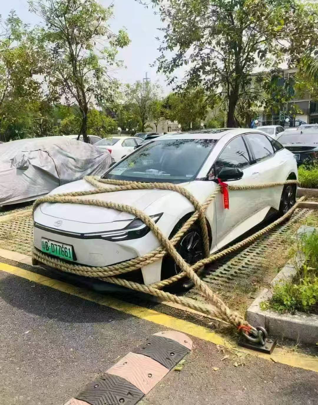 欧洲哥大战黑平台又倒下了

64 / 作者:金牌讲师大司马 / 