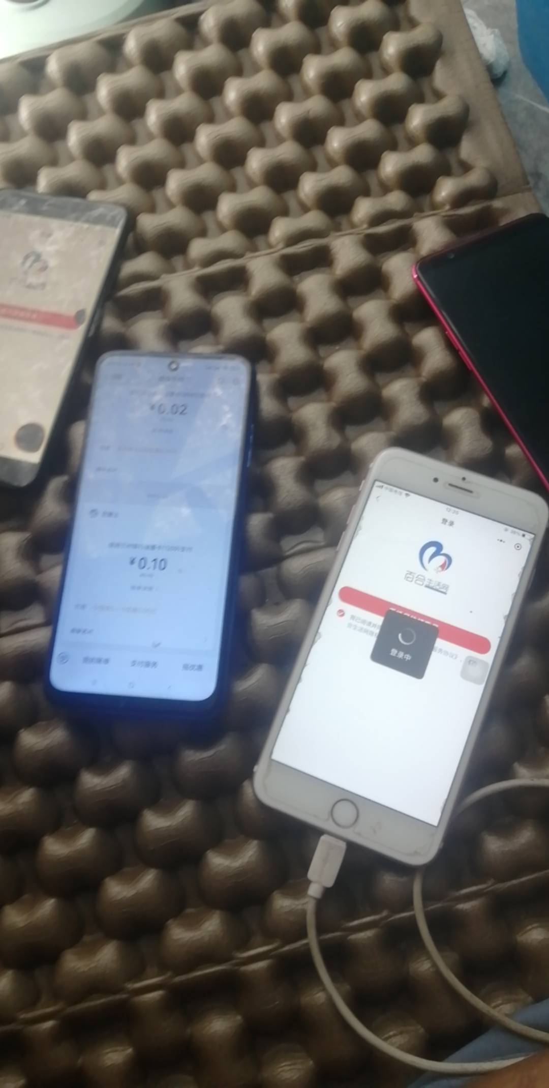 11微，还有8微毕业

54 / 作者:卡农新来的 / 