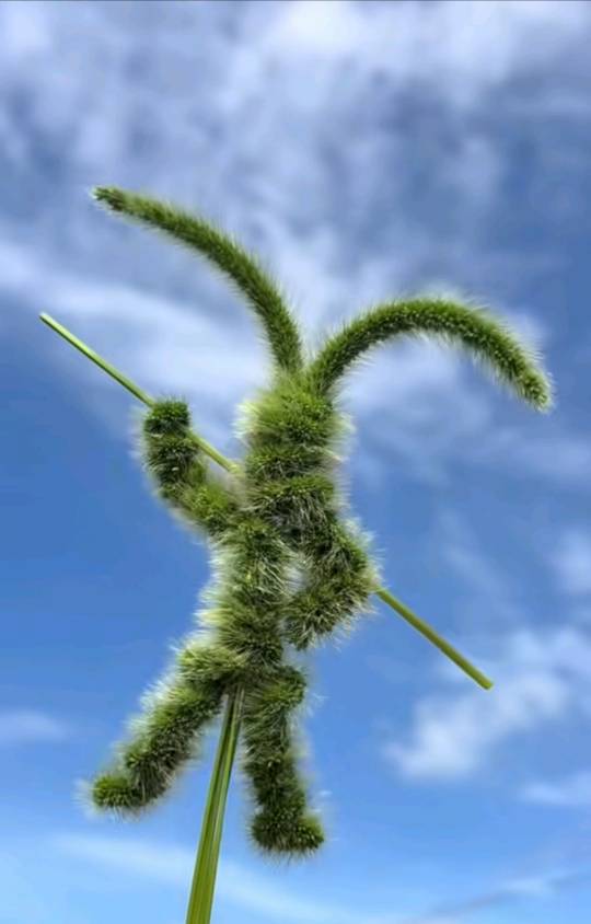 北京浦发能开吗？用不用定位老哥们

73 / 作者:弃穷 / 
