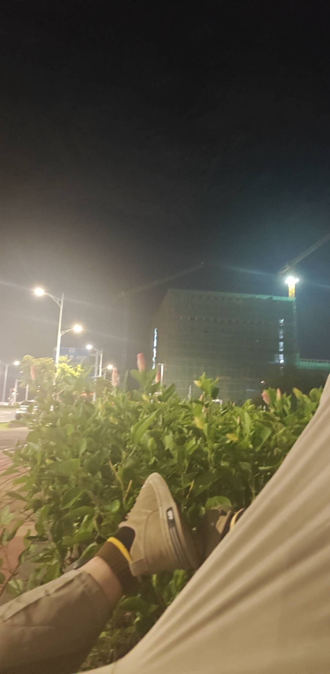 寂寞了

5 / 作者:南方以南就是北 / 