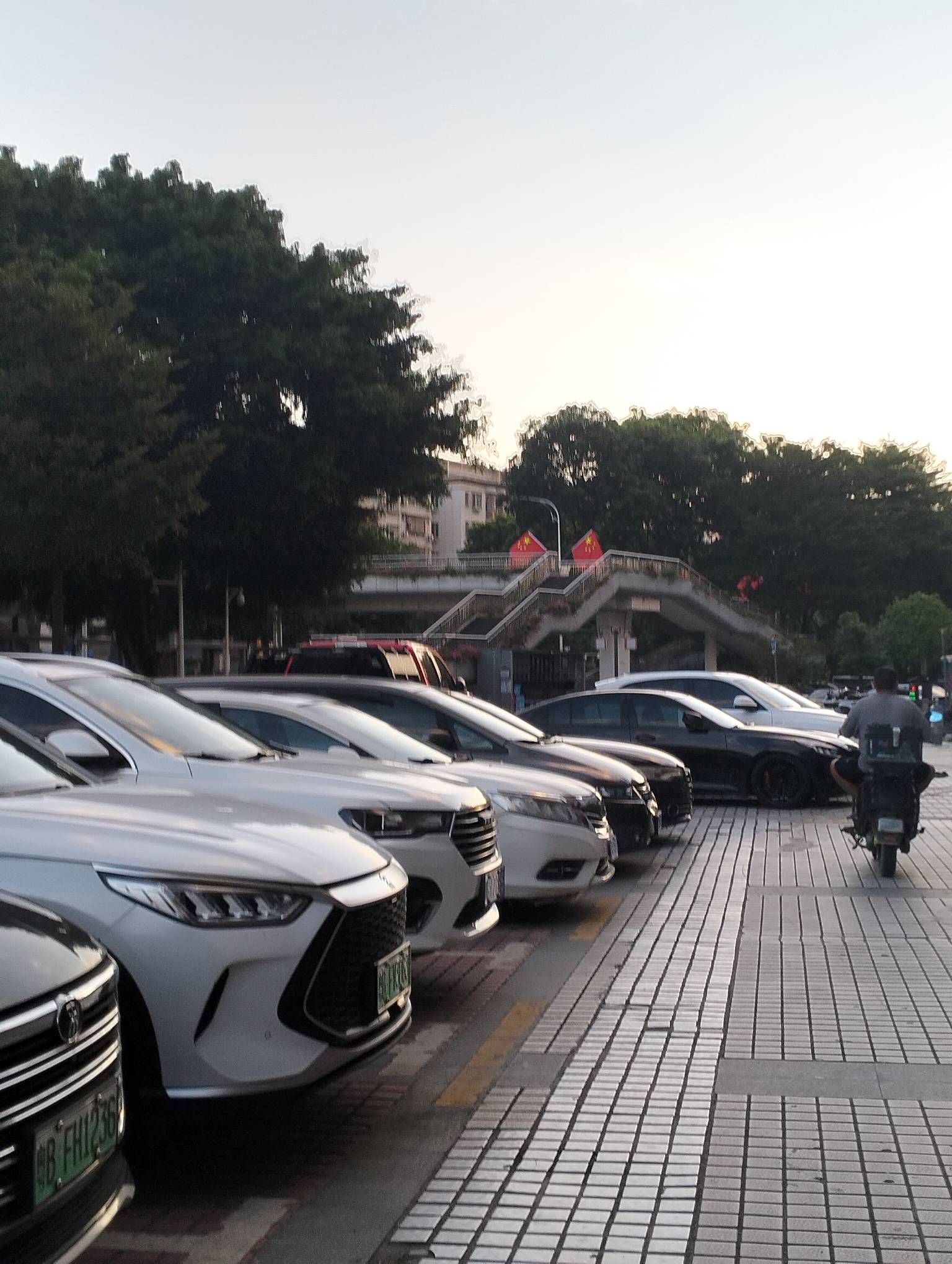 早鸭哥哥们，不知不觉，小红旗到处都给插上了

71 / 作者:尛•牛•氓 / 