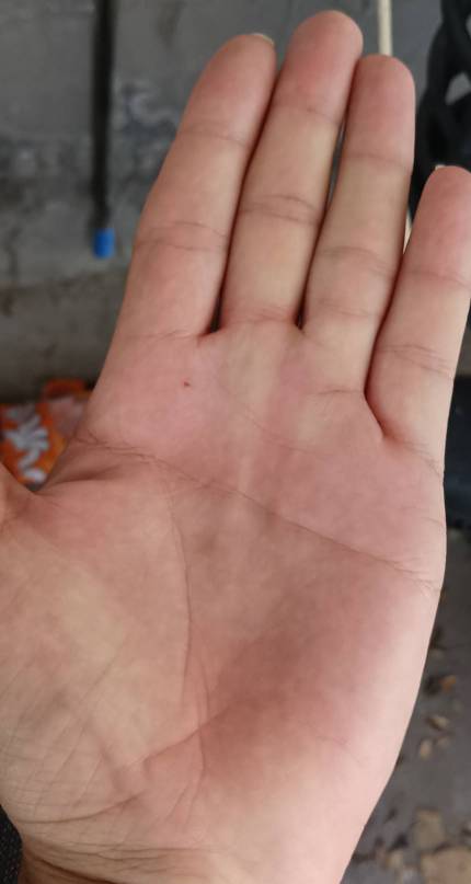卡农有会看手相的吗

2 / 作者:永恒yi / 