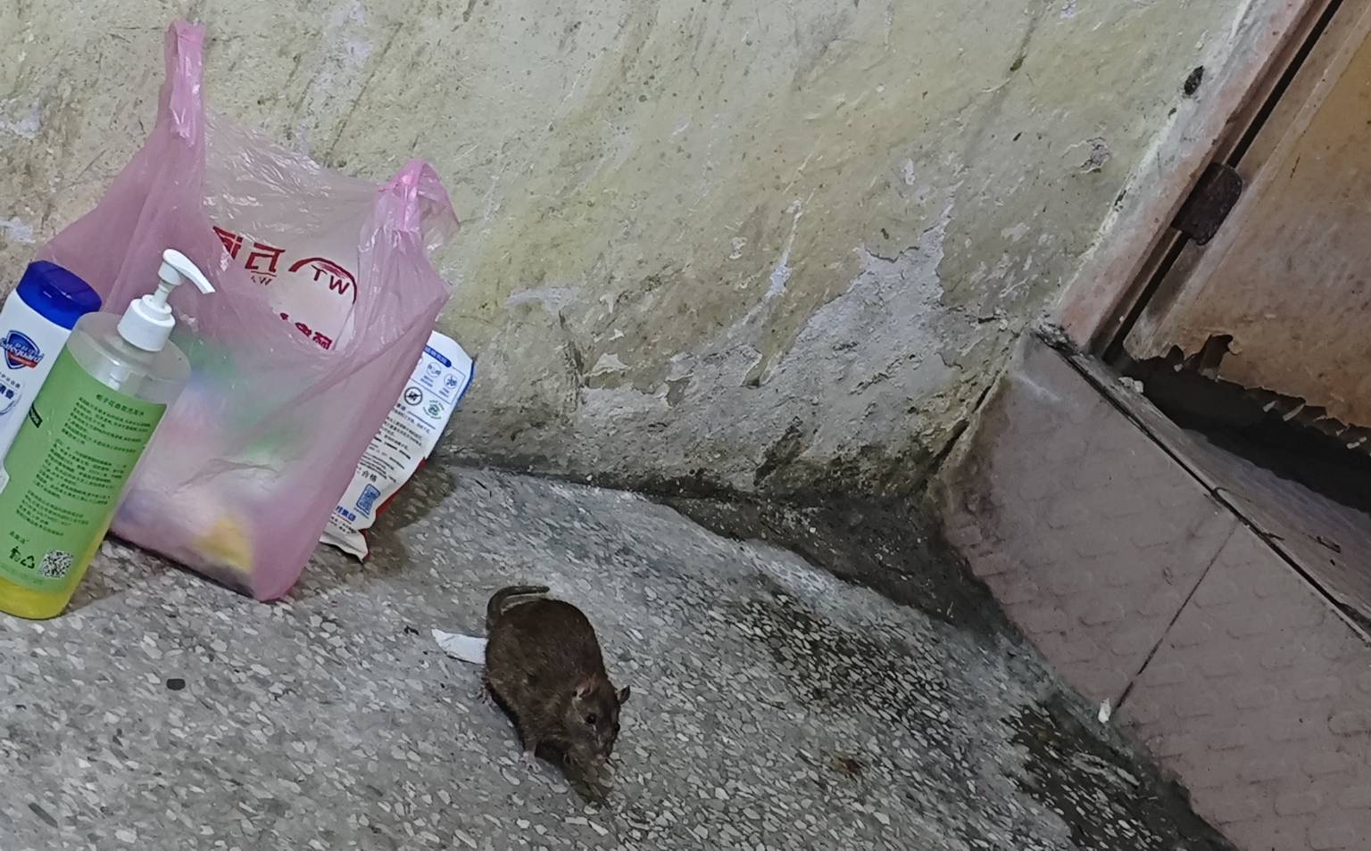 这隔壁住的女的，想不到女的也会住这种垃圾房子，太垃圾了我要不是没钱是不会住的，4082 / 作者:秋隔一日 / 