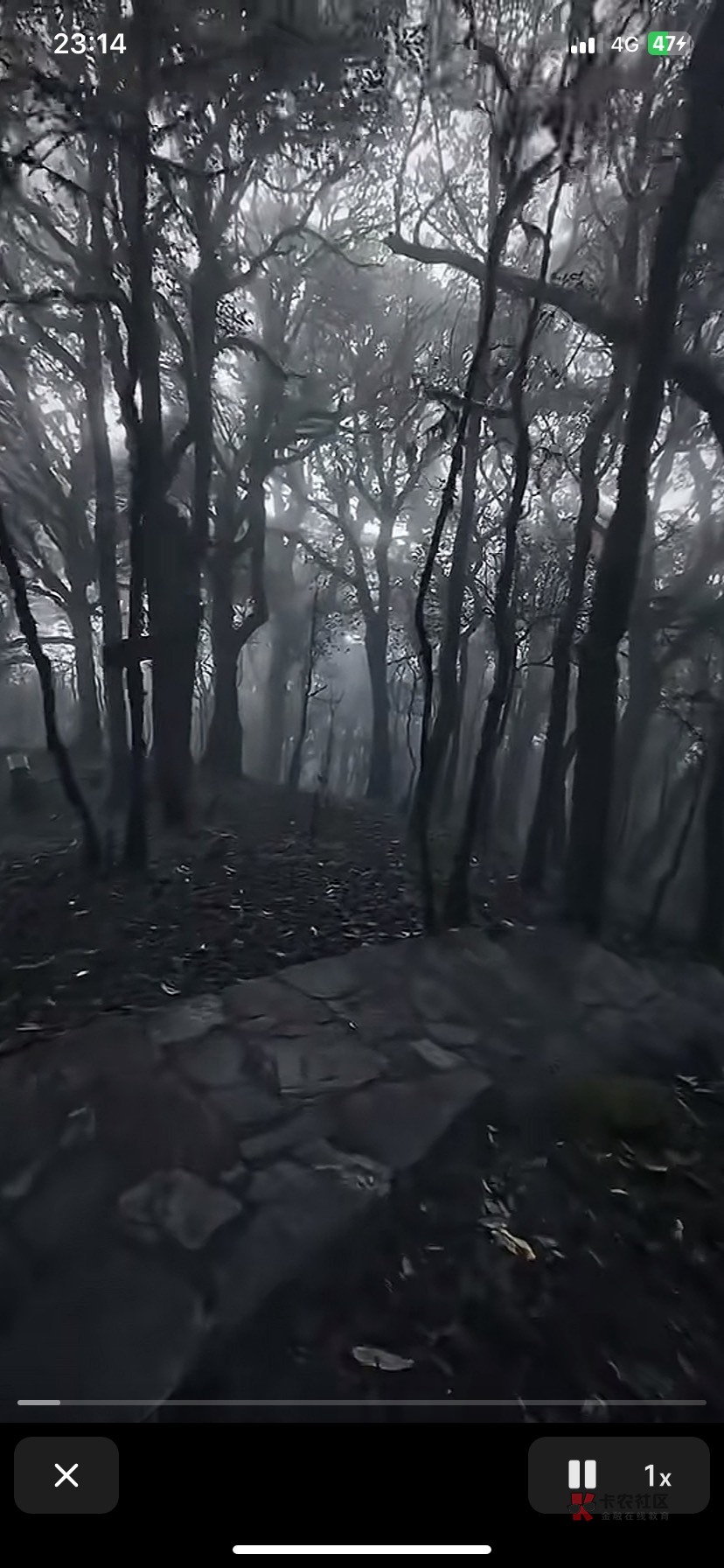 2025年9月30号我在老家的山上住,因为苹果成熟了,我要防止有小偷,夜晚11点27左右我96 / 作者:关于春天的故事 / 2025年9月30号我在老家的山上住,因为苹果成熟了,我要防止有小偷,夜晚11点27左右我96 / 作者:关于春天的故事 /