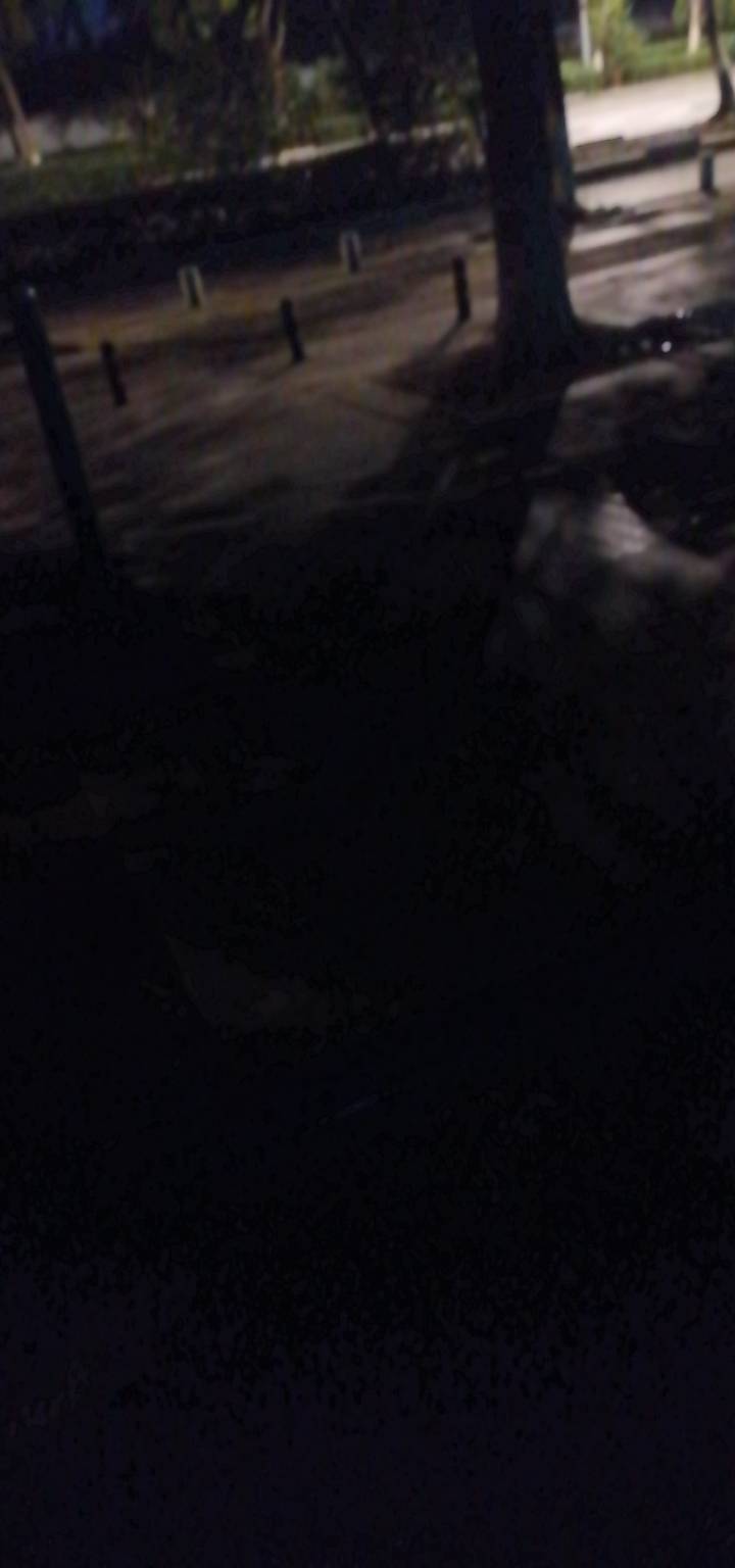 有个著名的人物说：成功的秘诀就是比别人早起一点。我深以为然，宝子们，Are you awak60 / 作者:故事大王磨推鬼 / 